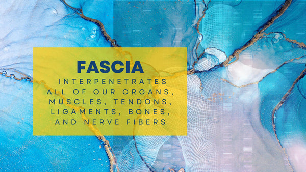 Fascia is an interconnected system throughout the body's structures
