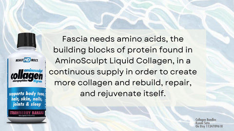 Collagen is food for your fascia