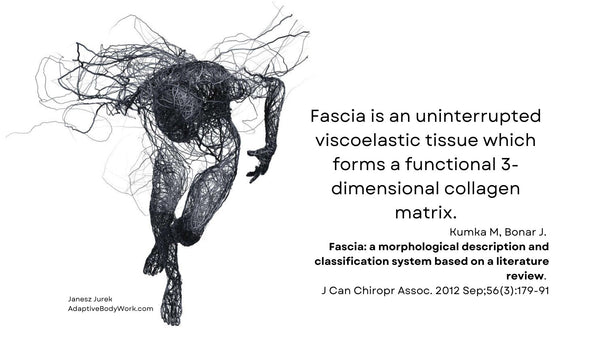 Fascia is one continuous piece of tissue from the top of your head to your toes.