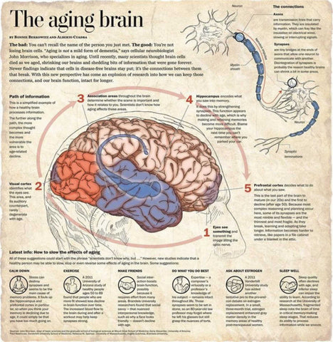 Health Direct | What Happens in an Aging Brain