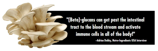 The power of beta-glucans is that they can activate immune cells via the bloodstream | Health Direct USA