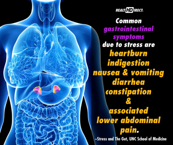 Common symptoms of stress and cortisol implication on the digestive system