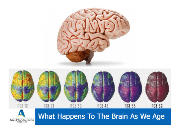 Brain changes and shrinkage over time | Health Direct USA