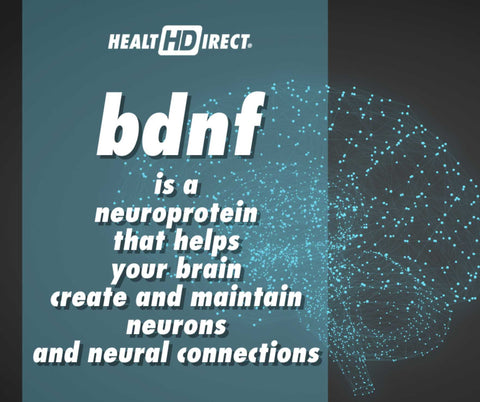 BDNF is a neuroprotein that helps your neurons build new connections and grow new brain cells. | Health Direct USA