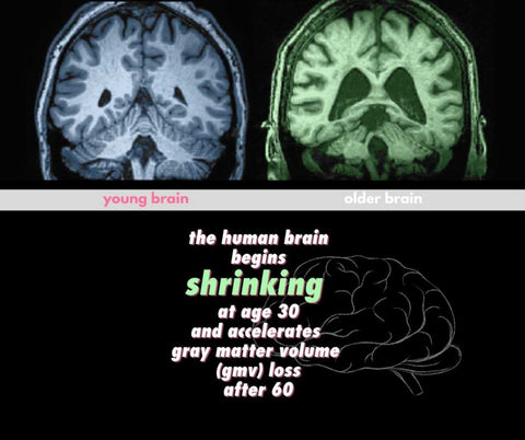 Our brains start shrinking at 30 and that shrinkage accelerates after 60 - but it doesn't have to with AminoMind