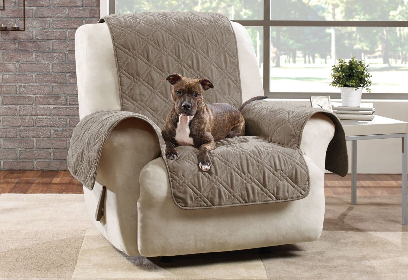 dog recliner chair