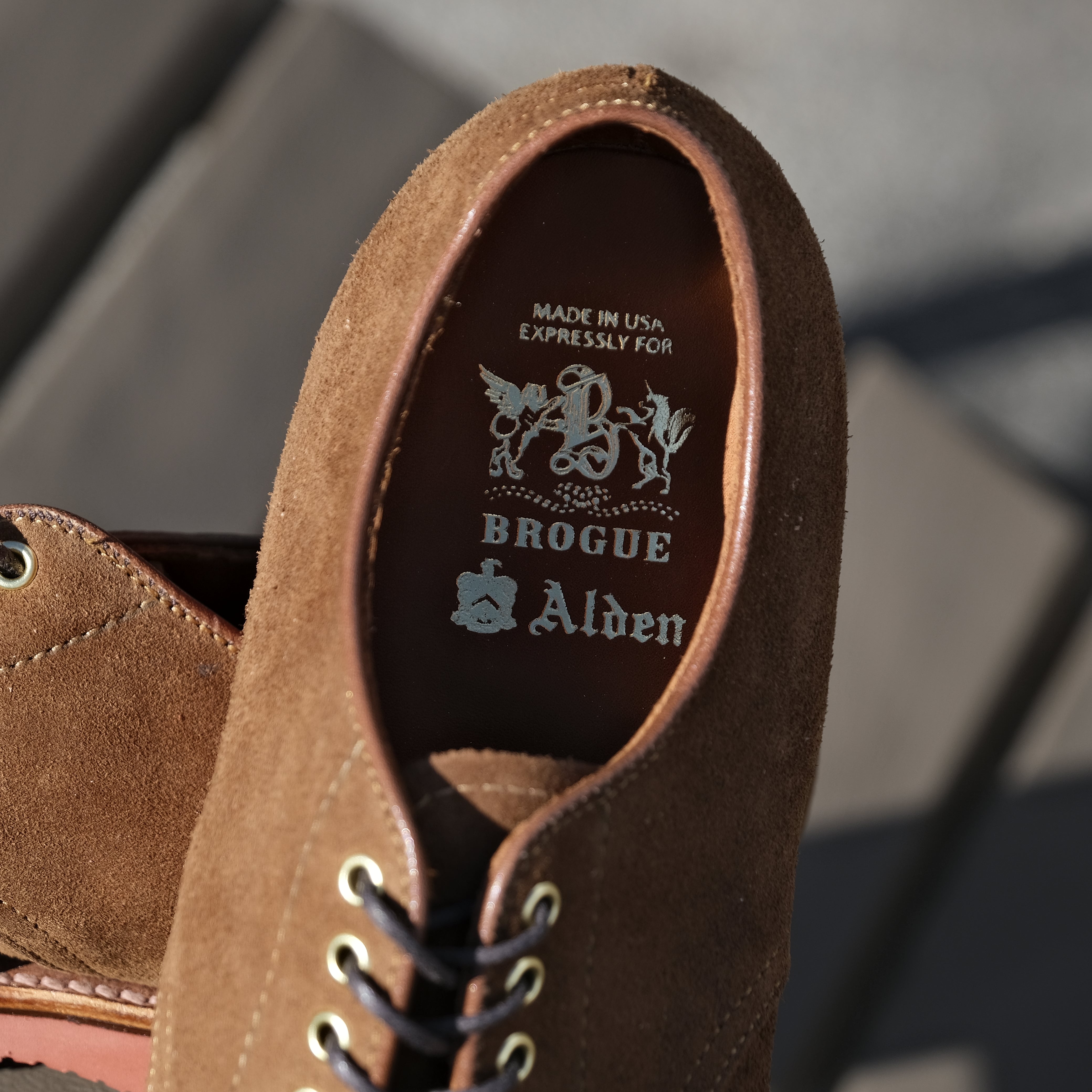 Alden x Brogue Travis Algonquin Blucher