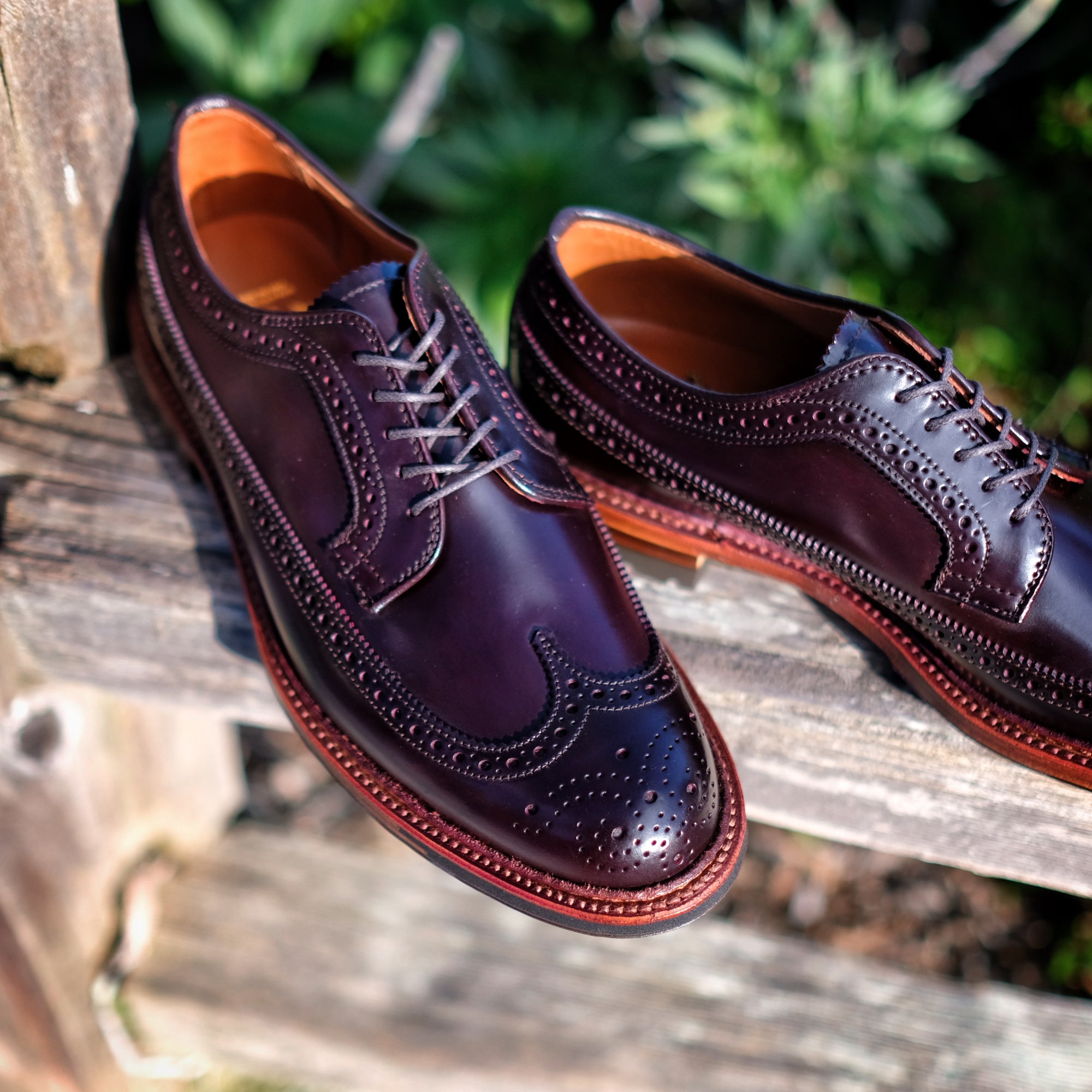 alden longwing blucher