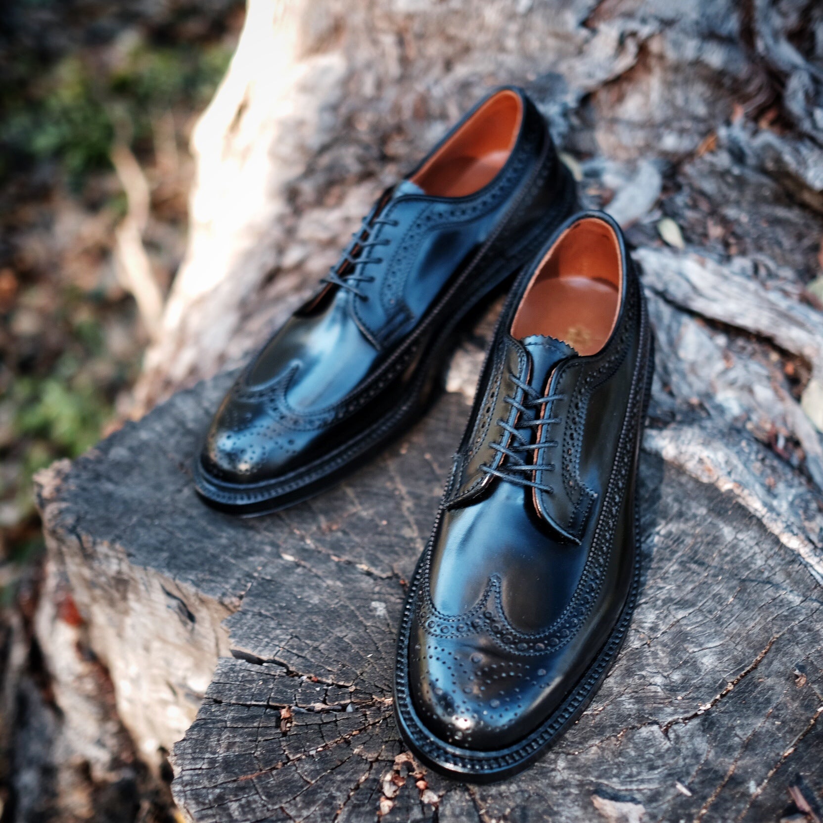 alden longwing blucher