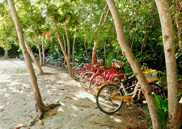 Tulum Ruins, Tulum Mexico, Bike Tulum, The Botanical Journey