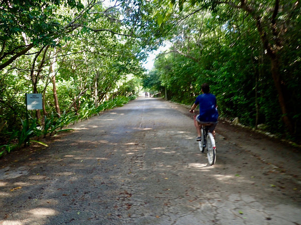 Tulum Ruins, Tulum Mexico, Bike Tulum, Diamante K, The Botanical Journey