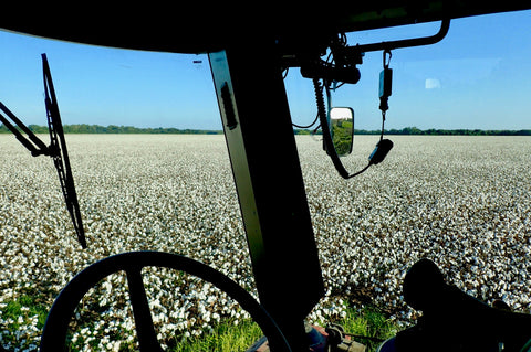 Cotton Picker, Cotton Harvest, Fields of Cotton, Heyne Ranch