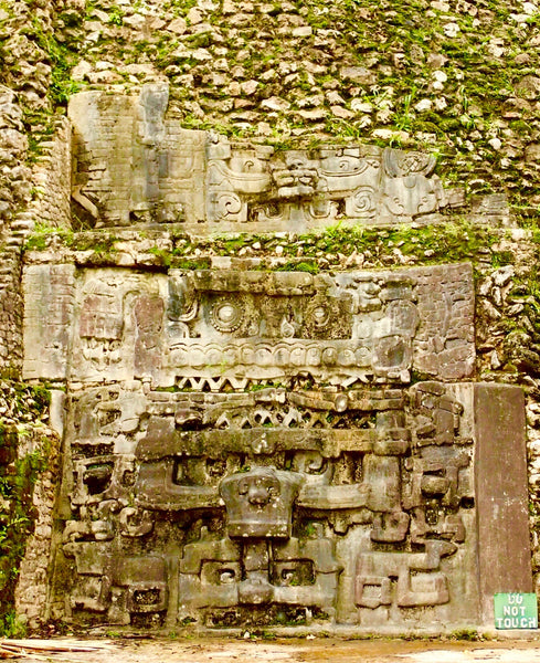 Maya, Mayan Ruins, Caracol, Belize, Stone Monument, Lily Jaguar