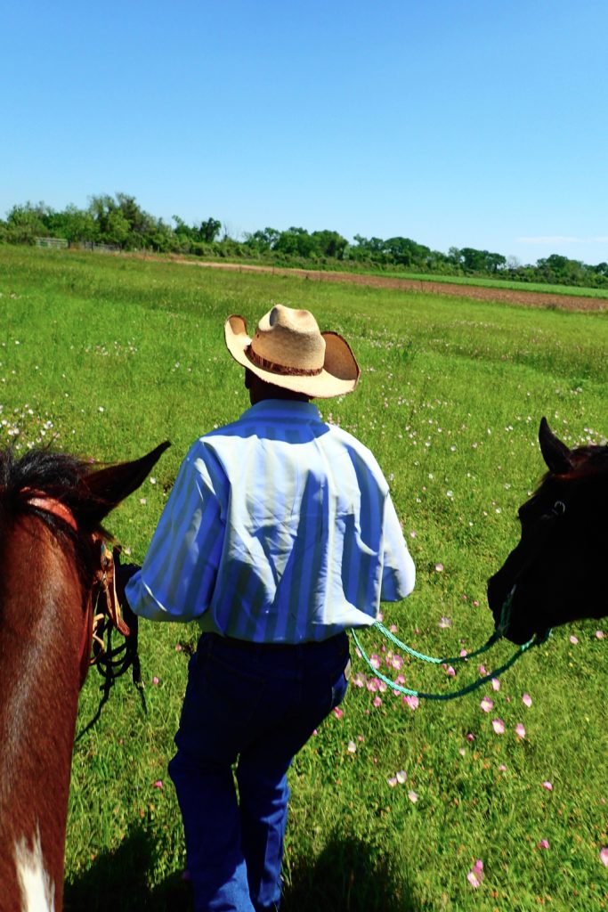 Cowboy Daryl leading the horses through the pastures to the woods and down to the beach.