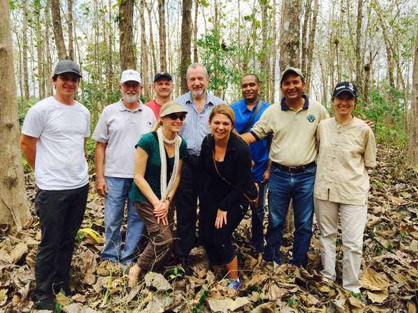 Teak Plantation, Panama, Darien 