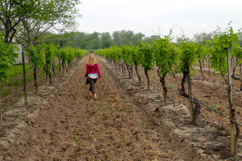 Val Verde Winery, Texas, The Botanical Journey