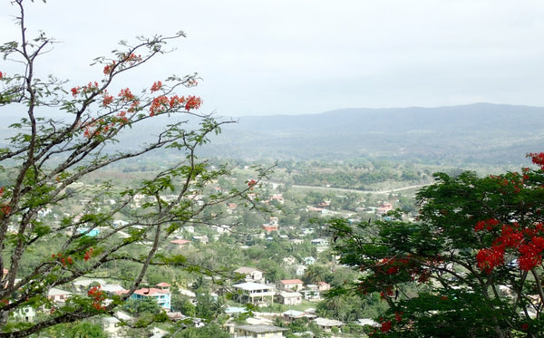 Overlooking the town of San Ignacio, Cayo District, Belize