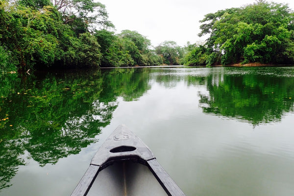 Canoeing the Mocal River, Maya Mountains, Belize, Cayo District