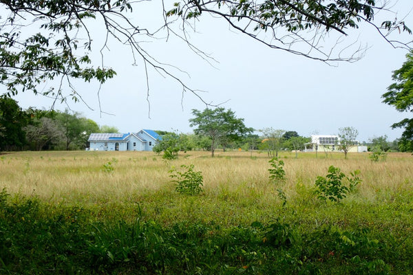 off-grid homes of luxury, Cayo District, Belize, Carmelita Gardens