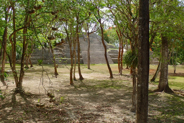 The first structure encounter, Cahal Pech, Belize
