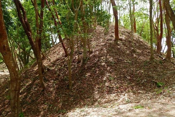 Hiking the jungle. Many of the mounds are uncovered ruins, Belize, Cayo District