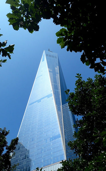 One World Trade Center through the trees, NYC