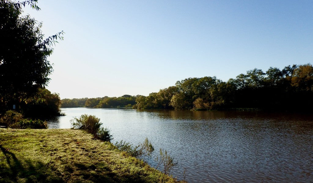 Clear Creek runs through the park creating a natural wetlands.
