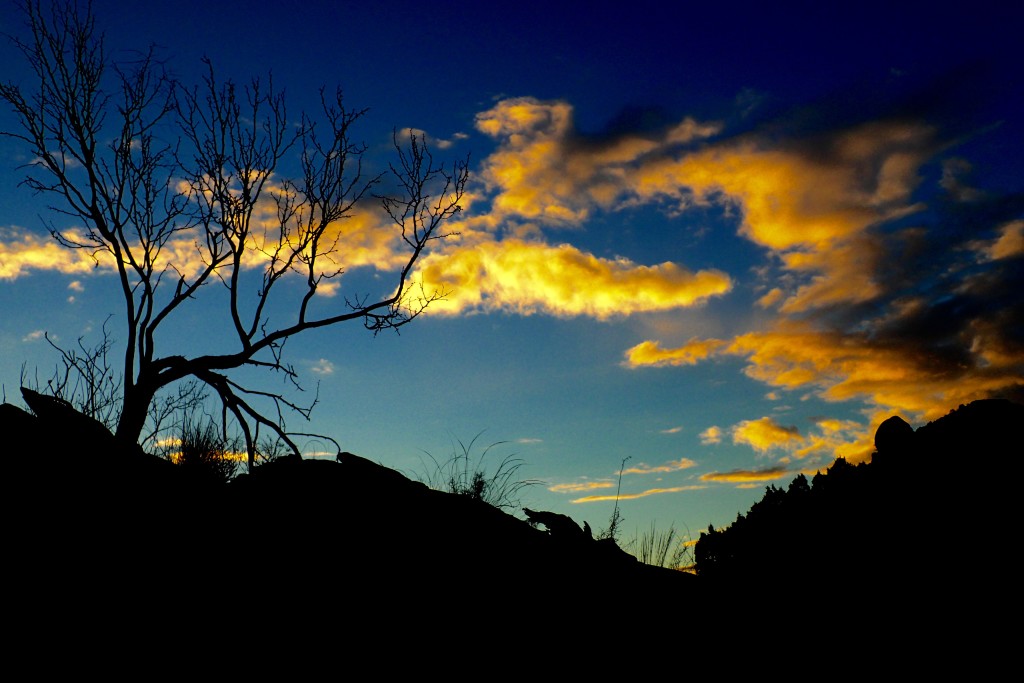 Palo Duro Canyon, Texas, Panhandle, Texas Travel, Palo Duro