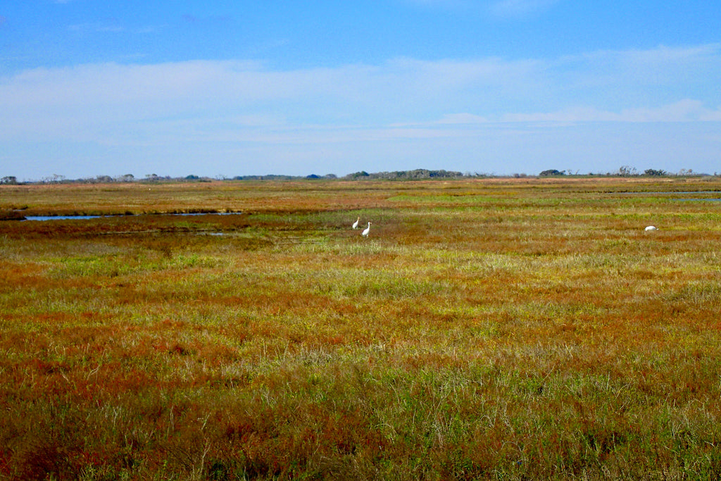 A family group as seen from the boat.