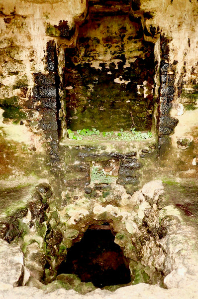 Maya, Mayan Ruins, Caracol, Belize, Ancient Tomb