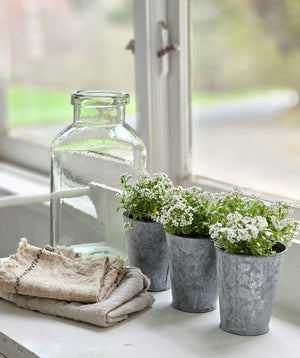 French Style Yogurt Jars and Demitasse Spoon Set - Farmhouse Wares