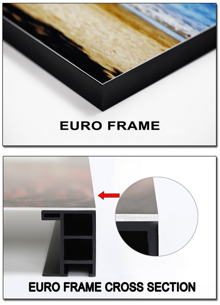 Metal Print with Euro Frame – Photo Printing Pros