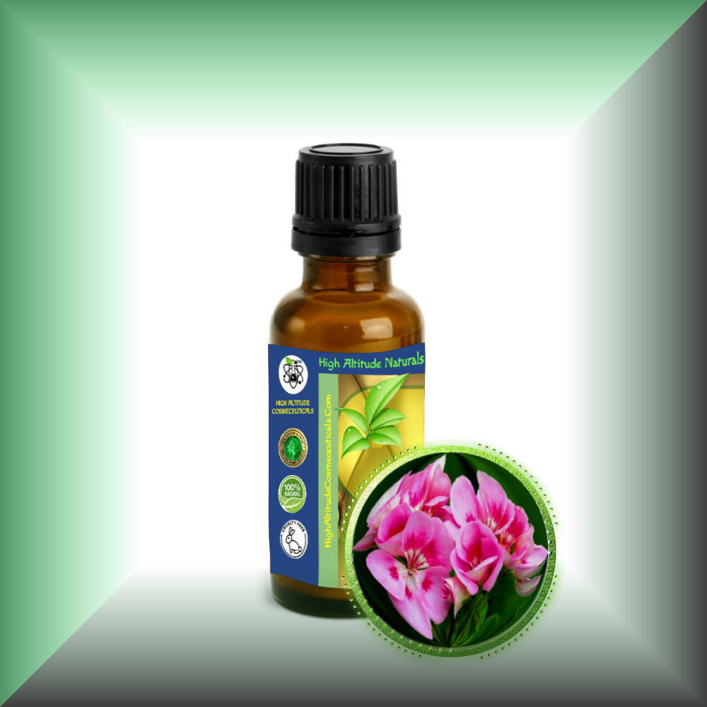 Geranium Essential Oil Uses and Benefits