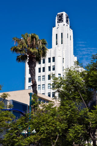 white clock tower surrounded by trees