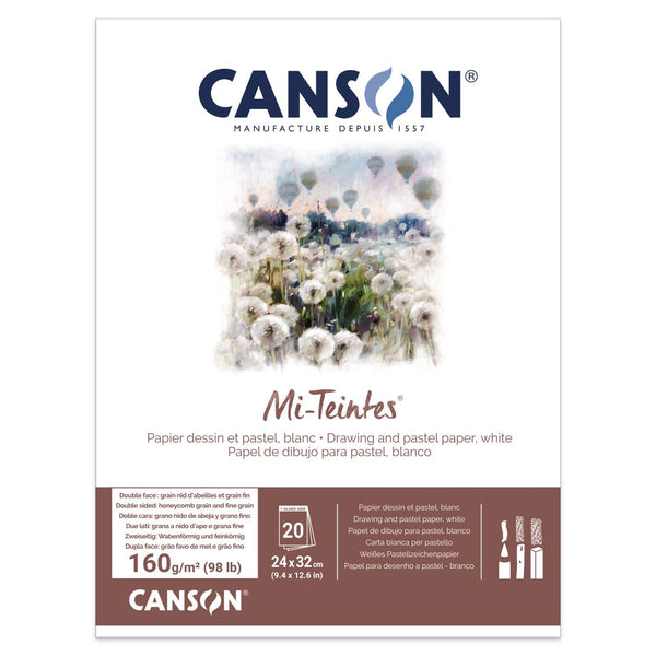 Canson Mi-Teintes - papier coloré 160g/m² - feuille 50x65cm