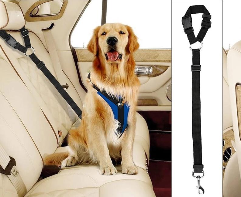 dog car belt