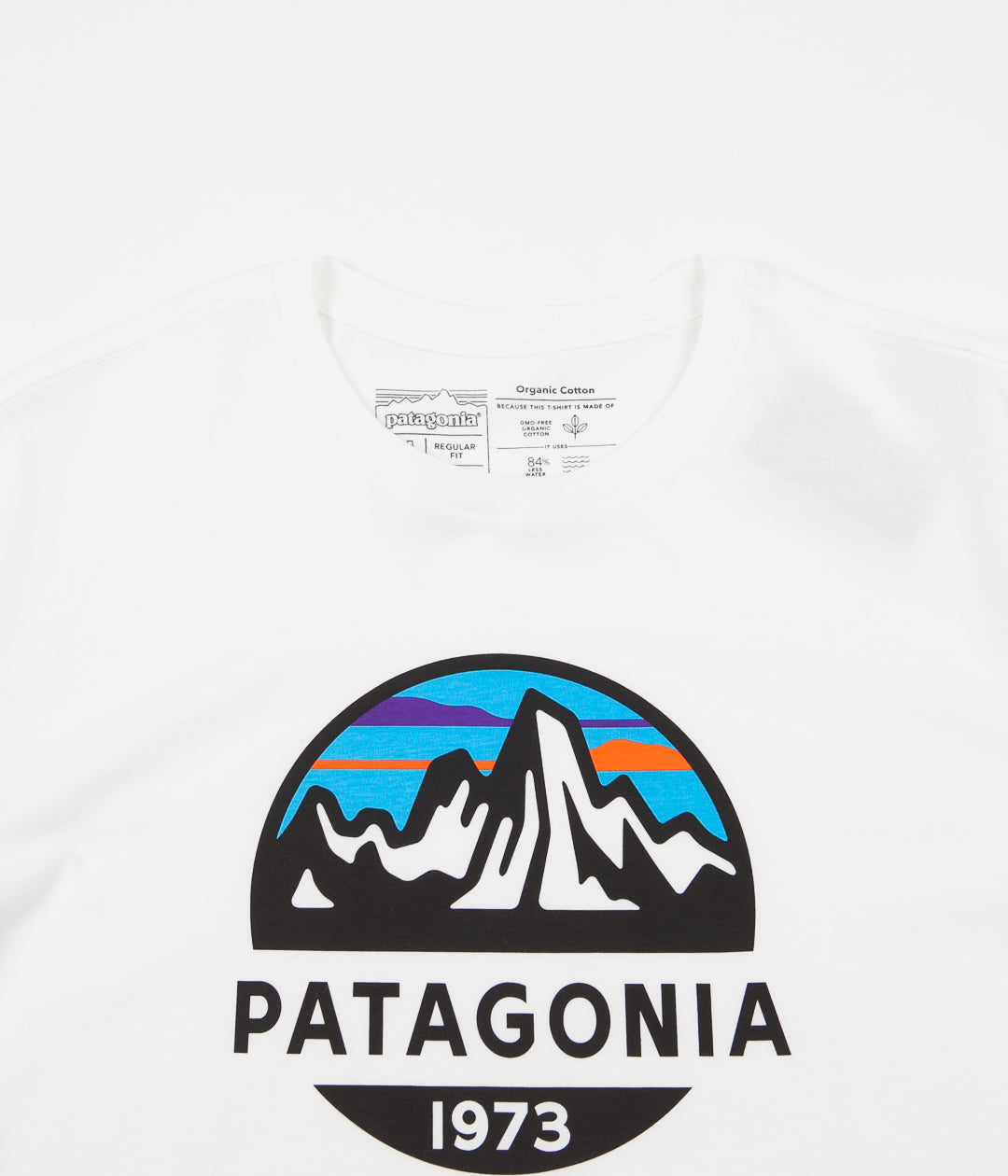 patagonia fitz roy van t shirt