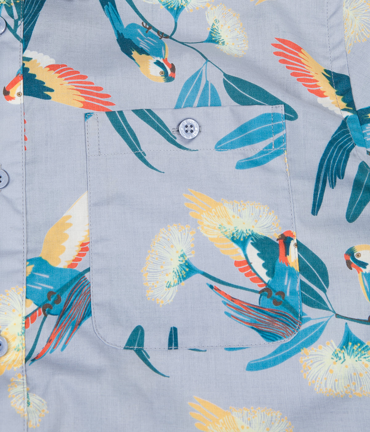 patagonia parrot shirt