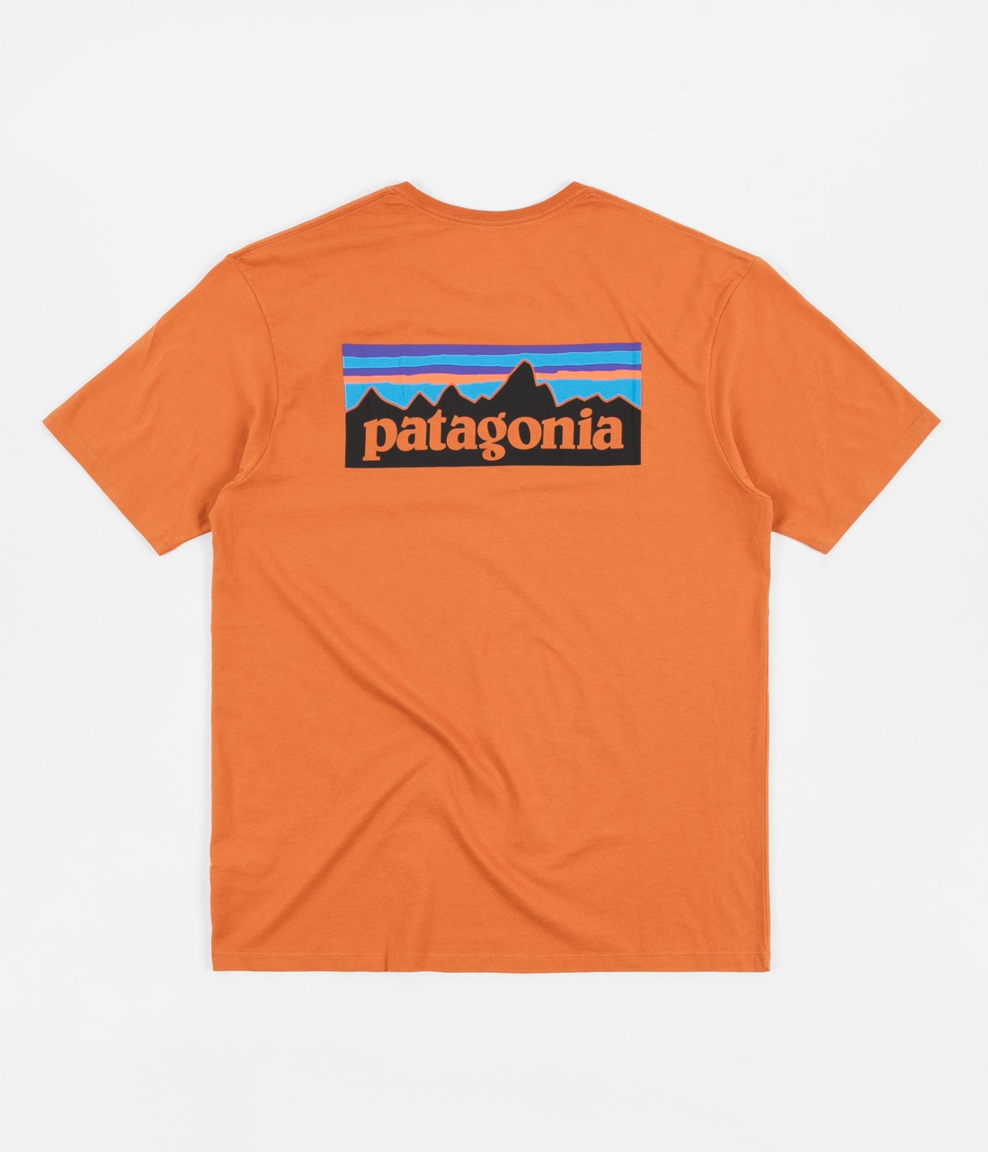 Patagonia P-6 Logo Organic T-Shirt - Desert Orange | Always in Colour