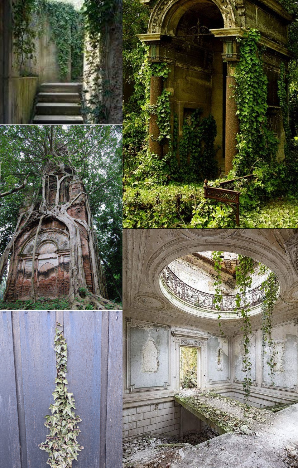 overgrown-buildings