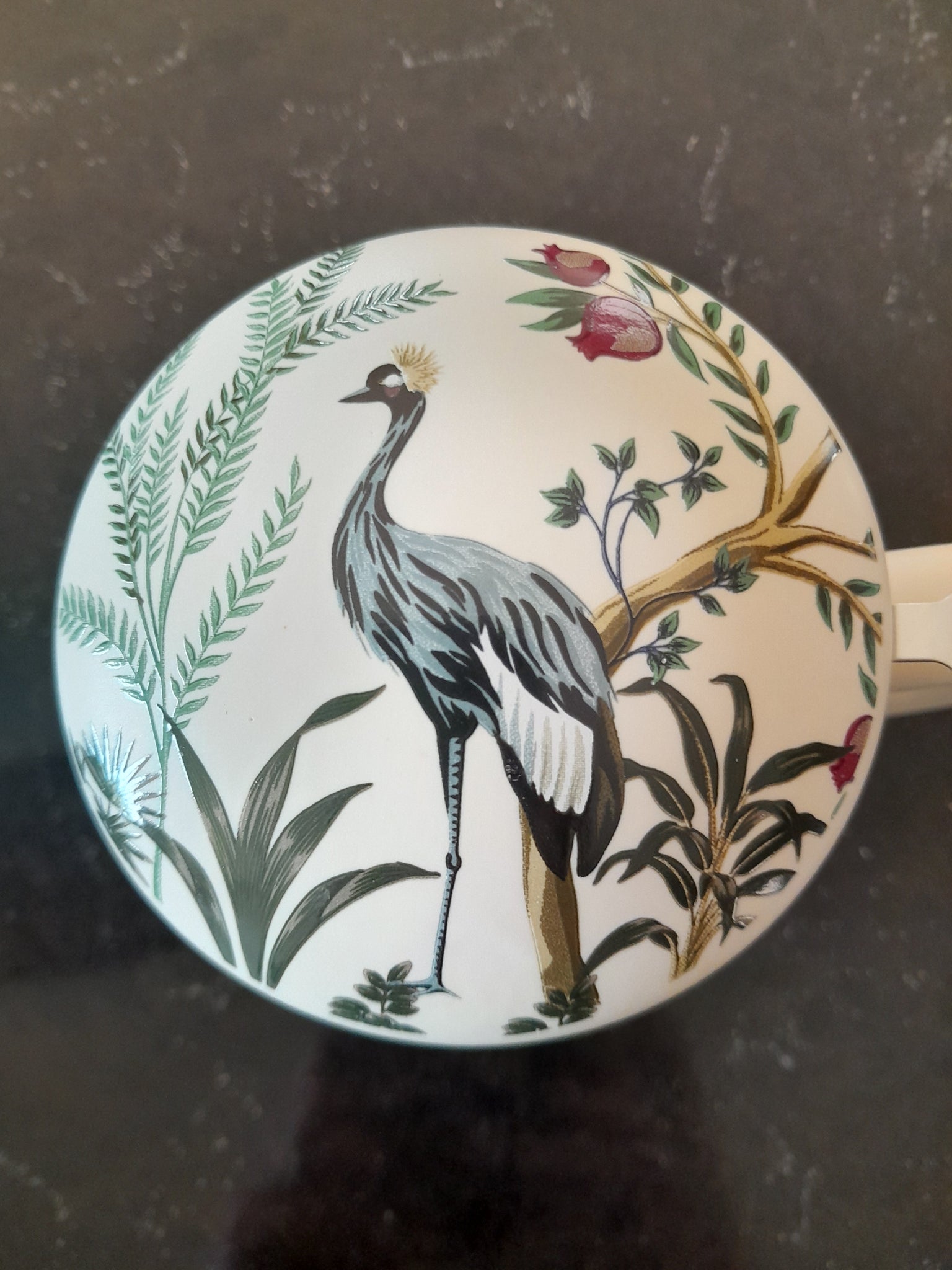 decorative ceramic tea cup from florence