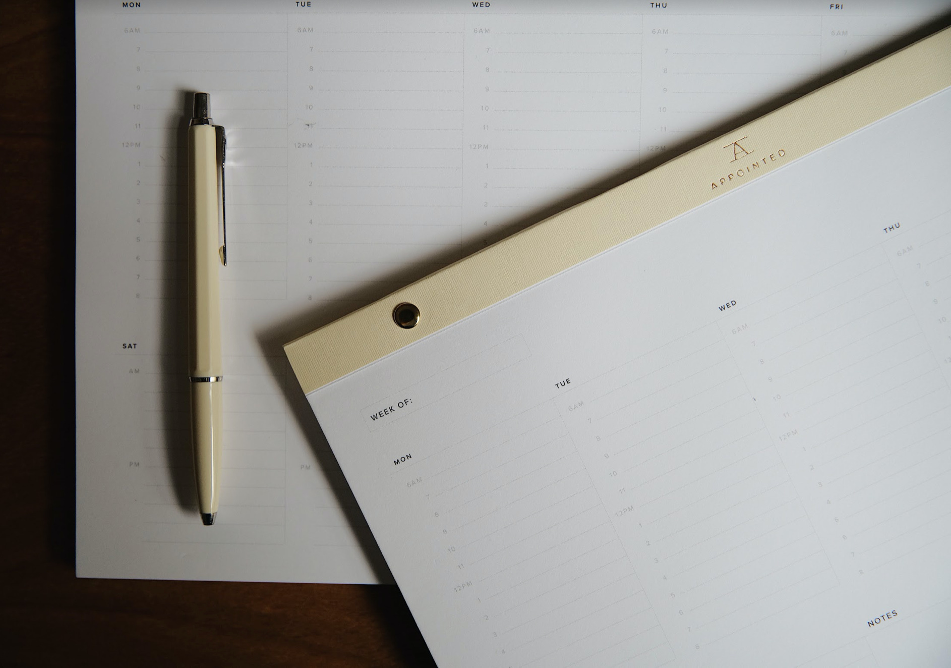 The Daily Desktop Planner - Ecru