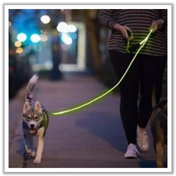 light up dog leash for safety during night walking