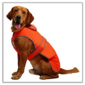 safety vest for dog walking at night to keep safe