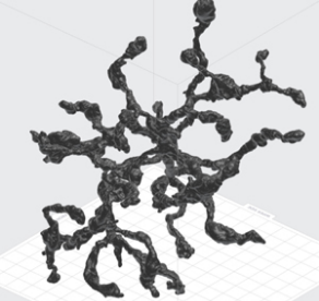 An upscaled cel printed in Formlabs BioMed Black Resin