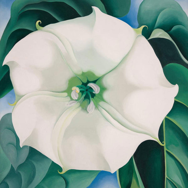 Georgia O'Keeffe's flower paintings