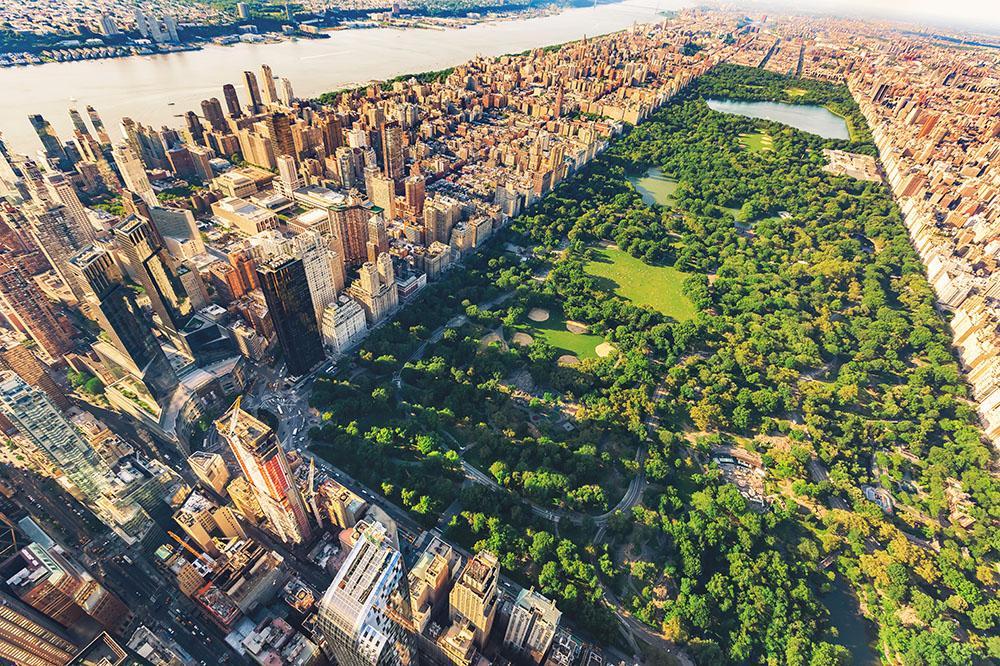 central park summer wallpaper