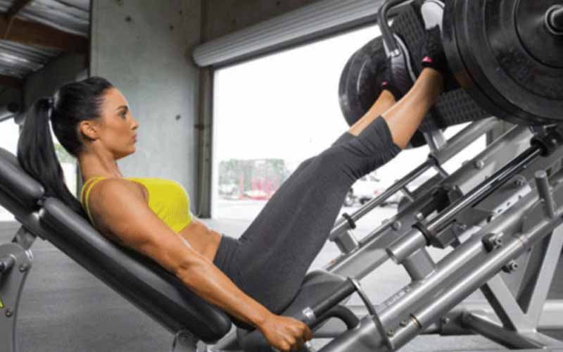 Bài tập Leg Press- bài tập tăng cân Gym cho nữ