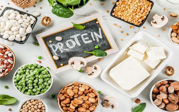 Các loại thực phẩm giàu protein thực vật