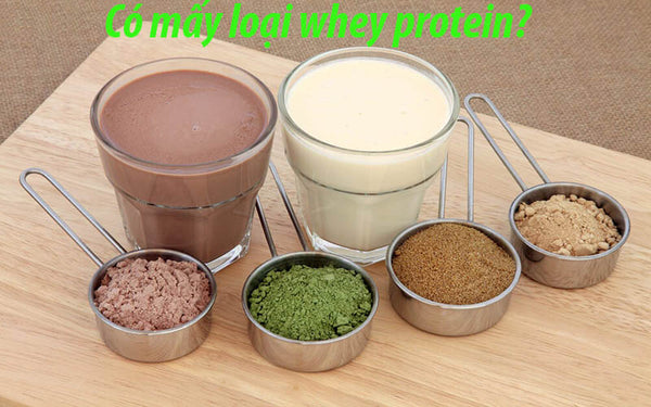 Có mấy loại whey protein